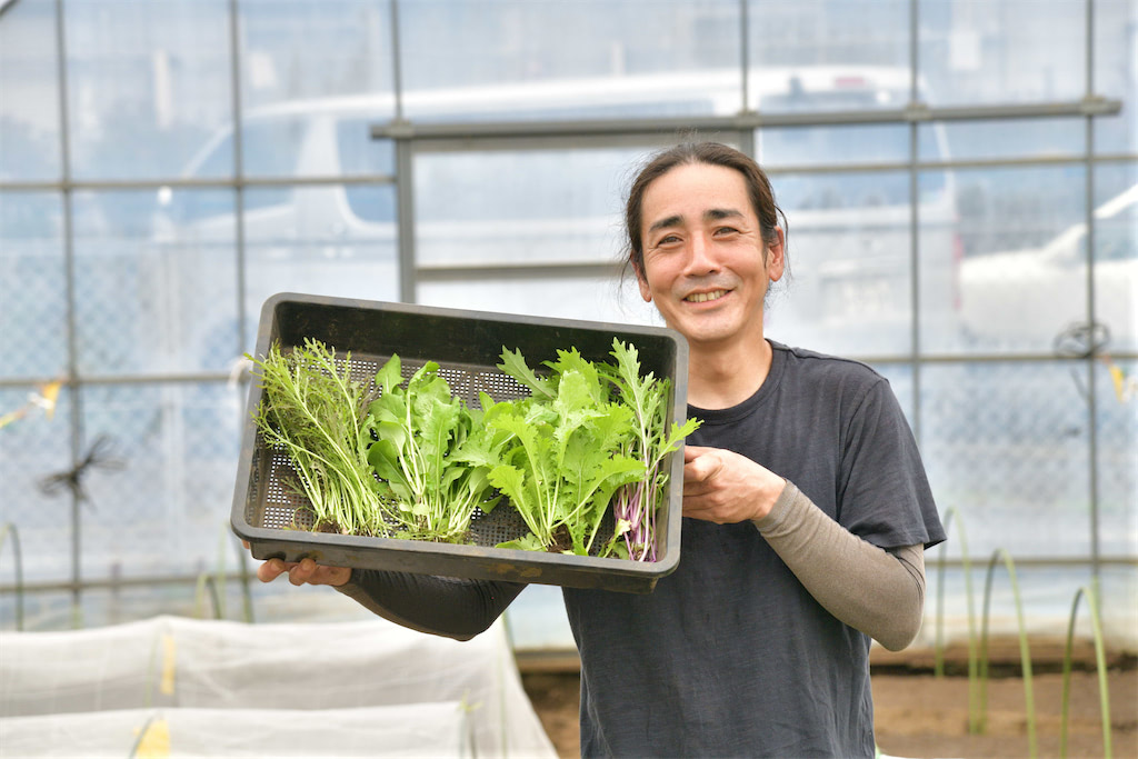 農業男子が教える とっておきベビーリーフサラダの作り方 あたらしい日日 こんな時代のニューノーマルな暮らし方 食と農 生活情報をお届けします