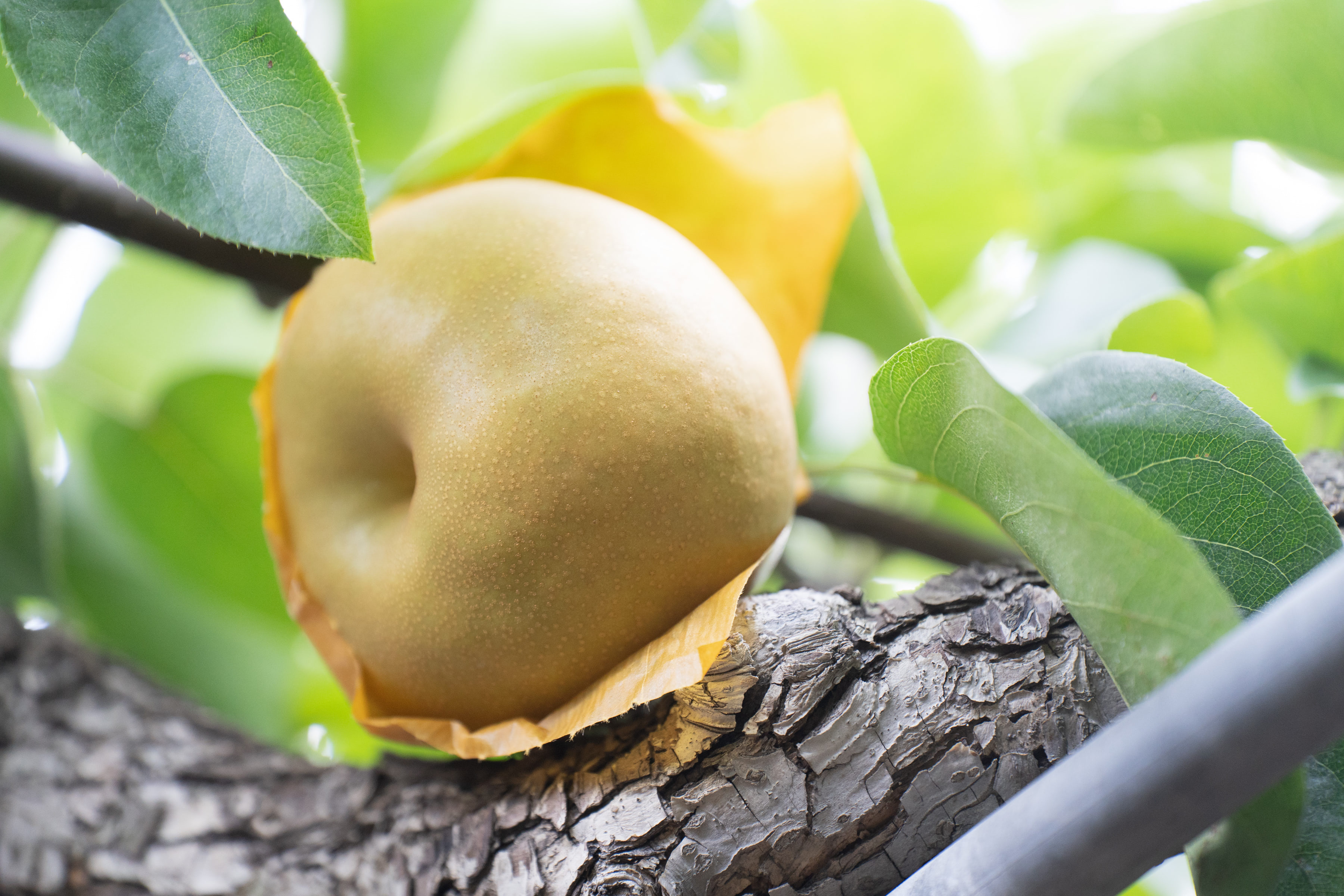 サーモスタットが壊れているかどうかはどうやってわかりますか?