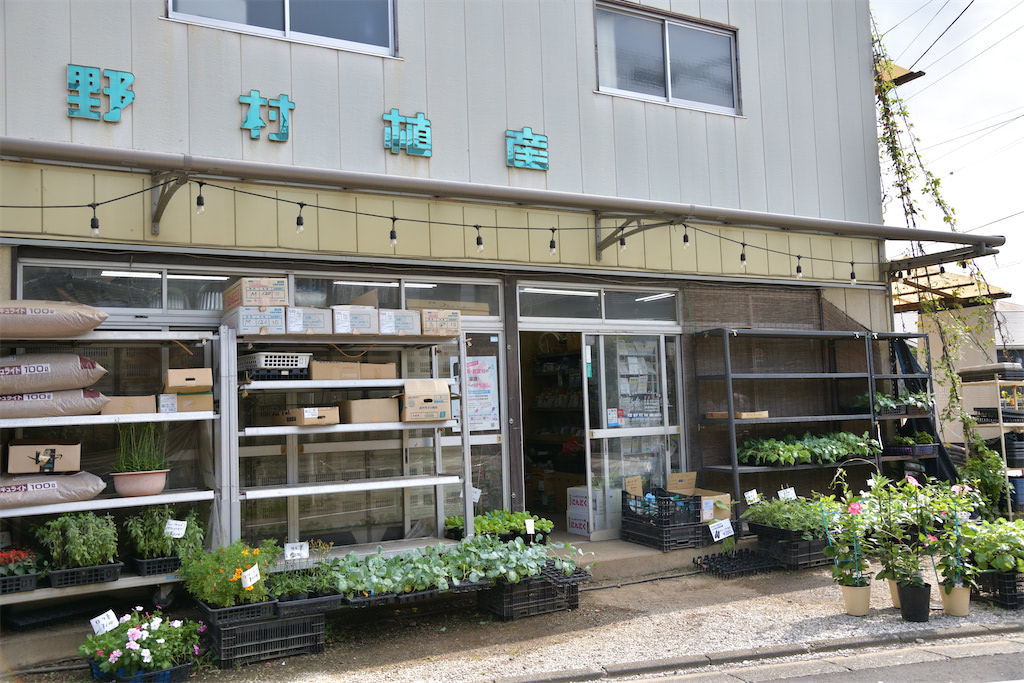 初めてのプランター栽培 この春デビュー ベランダ菜園でルッコラ他 おしゃれな西洋野菜を育てよう あたらしい日日 こんな時代のニューノーマルな暮らし方 食と農 生活情報をお届けします 初めてのプランター栽培 この春デビュー ベランダ菜園でルッコラ他 おしゃれな西洋野菜を育てよう あたらしい日日 こんな時代のニューノーマルな暮らし方 食と農 生活情報をお届けします