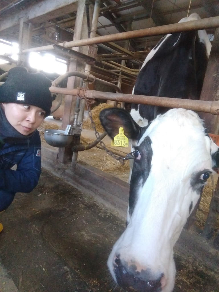 gaybeast Horse Handjob Gaybeast Rip / смешные картинки и другие приколы: комиксы,  гиф анимация, видео, лучший интеллектуальный юмор.