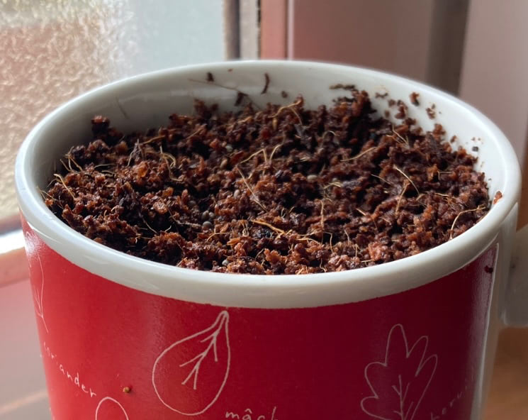 ミニ赤そら豆 ルッコラ のらぼう菜 ダイシモチ ミニ赤そら豆 ルッコラ のらぼう菜 ダイシモチ ミニ赤そら豆 ルッコラ