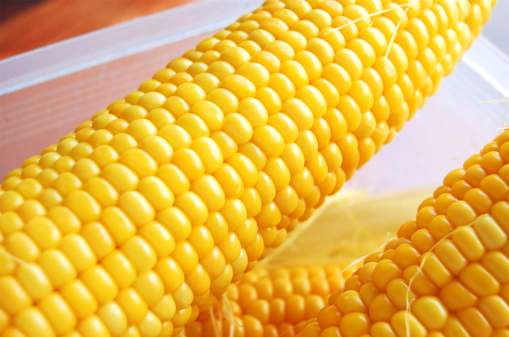 【一般人は知らない“茹で”の裏ワザ】とうもろこしは普通に茹でても旨くならない！プロの“蒸し茹で”に挑戦｜ニフティニュース