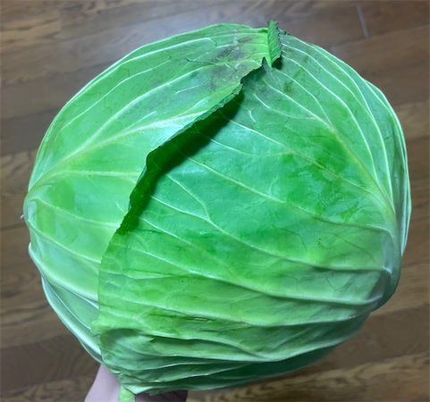 野菜保存の裏ワザ】魔法の「キャベツ保存法」試してみた！1か月間も瑞