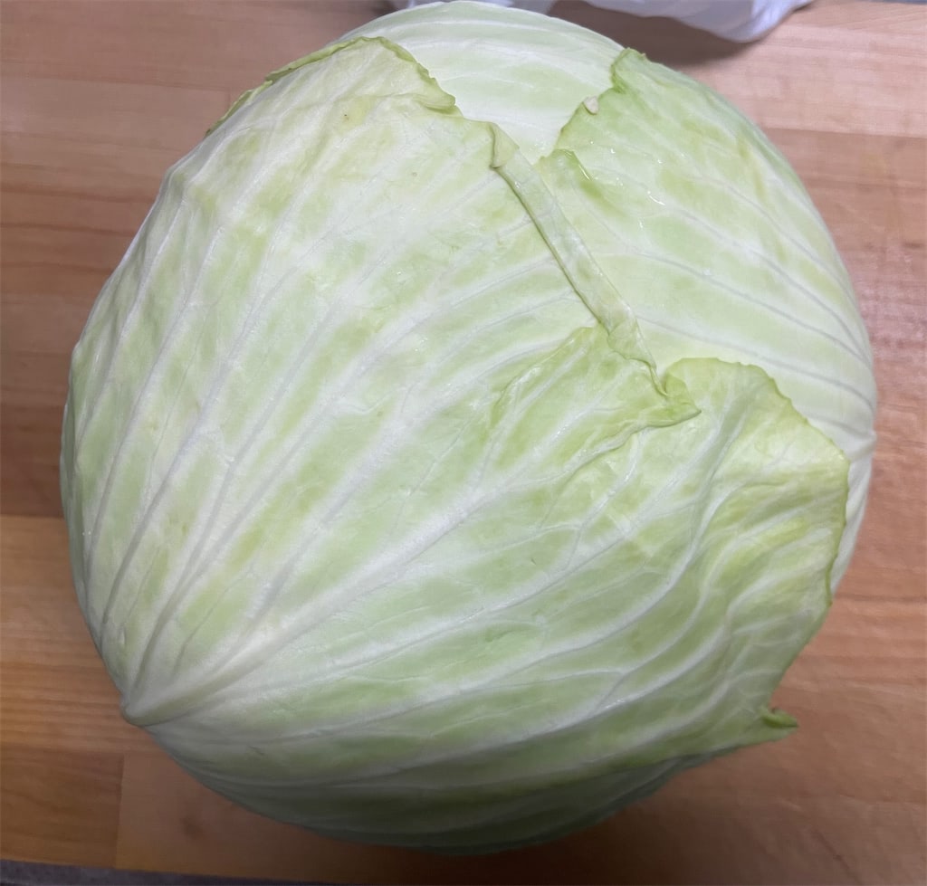 野菜保存の裏ワザ】魔法の「キャベツ保存法」試してみた！1か月間も瑞
