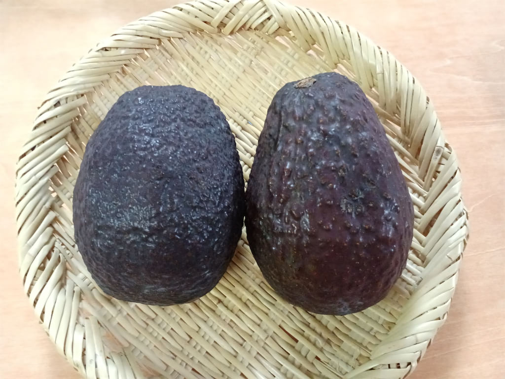 ケトアボカドスムージーのレシピ