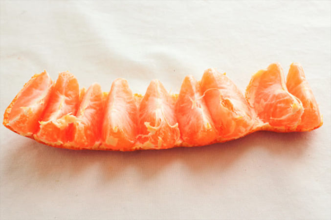 みかん鮫様 愛知県産(JA蒲郡市) 蒲郡ハウスみかん Mサイズ12個入り【CB