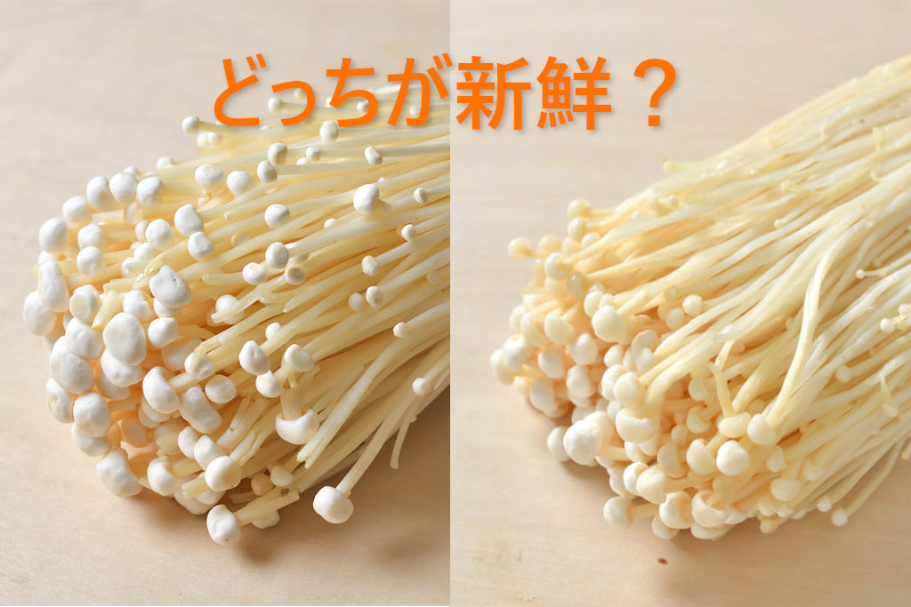 青髪のテツ】傷みやすい「えのきたけ」…見分け方をプロに聞いてみた